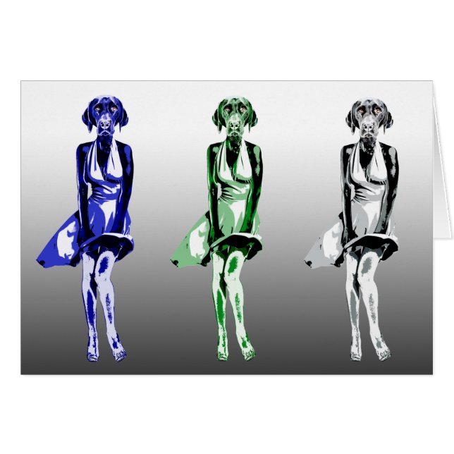 Labrador Monroe - stijl (Voorkant Horizontaal)