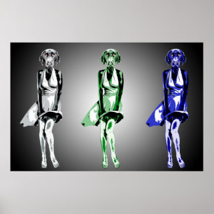 Labrador Monroe-stijl Poster