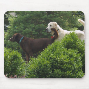 Labrador-muispad Muismat