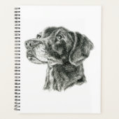 Labrador noir (Devant)