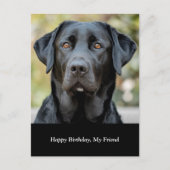 Labrador noir, carte postale photo personnalisée (Devant)