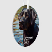 Labrador noir dans l'eau (devant)