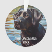 Labrador noir dans l'eau (devant)