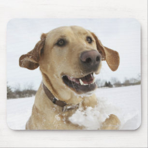 Labrador-opvrager die door diepe sneeuw springt muismat
