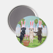 Labrador paaskonijntjes!! magneet (Voorkant / Achterkant)