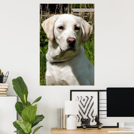 LABRADOR POSTER (Thuiskantoor)