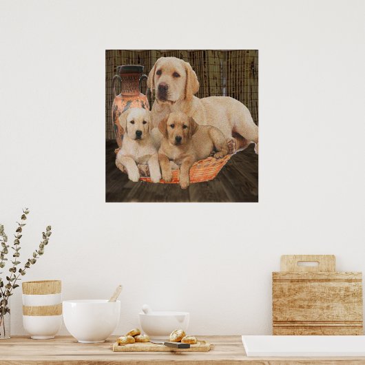 Labrador-posters Poster (Keuken)