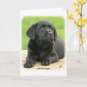 Labrador puppy 9Y267D-109 Kaart (Gele Bloem)