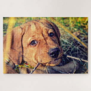 Labrador Puppy Legpuzzel