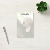 Labrador Puppy Sitting in een bosgebied Post-it® Notes (Kantoor)
