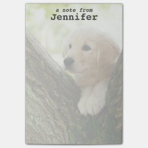 Labrador Puppy Sitting in een bosgebied Post-it® Notes