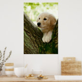 Labrador Puppy Sitting in een bosgebied Poster (Keuken)