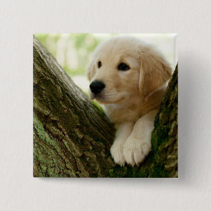 Labrador Puppy Sitting in een bosgebied Vierkante Button 5,1 Cm