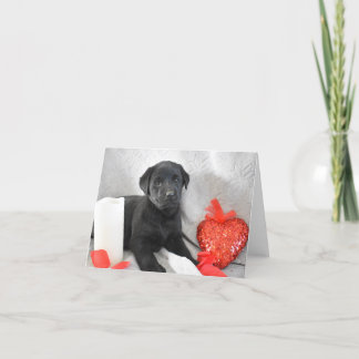 Labrador Puppy Valentines Carte de jour