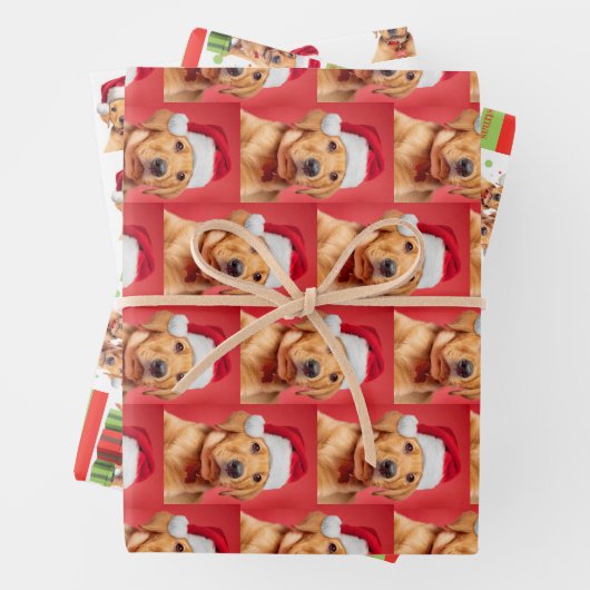 Labrador Puppy Variant Inpakpapier Vel (In situ)