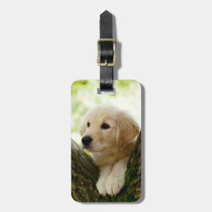 Labrador Puppy zittend in een bosrijke omgeving Bagagelabel