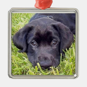 Labrador Puppy - Zwart Lab - Zilver Lijst Metalen Ornament