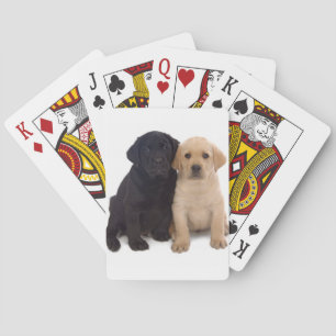 Labrador puppy's spelend met kaarten