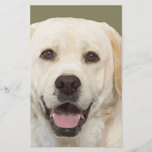 Labrador recovery 1 briefpapier
