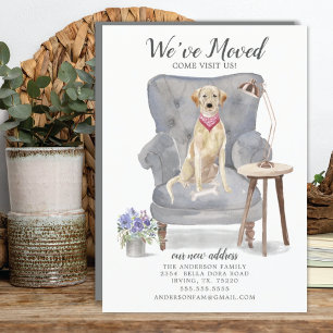 Labrador Recovery Dog Verplaatsingsaankondiging Aankondiging