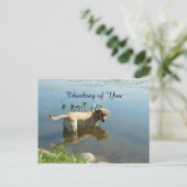 Labrador Reflection Thinking of You Briefkaart (Staand voorkant)