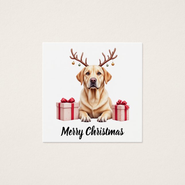 Labrador Reindeer (Devant)