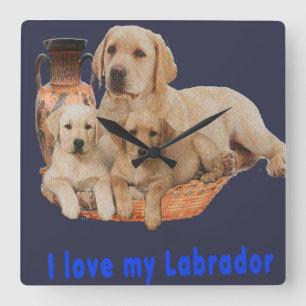 labrador reklokken vierkante klok