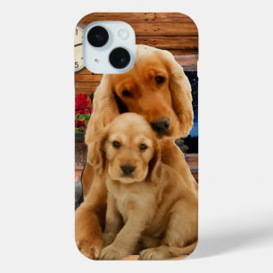 labrador rekner