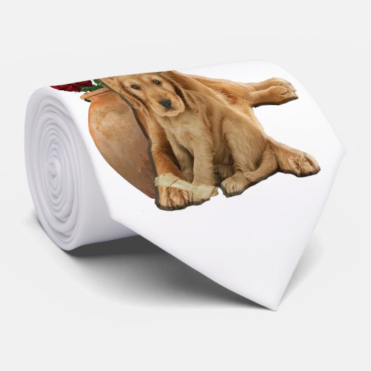 labrador rekner stropdas (Opgerold)