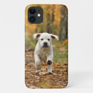 Labrador rekwalvispuppy in het najaar iPhone 11 hoesje