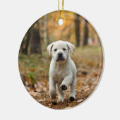 labrador rekwalvispuppy keramisch ornament (Links)