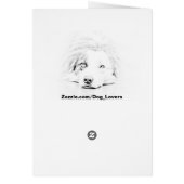 Labrador Retriever (Achterkant)