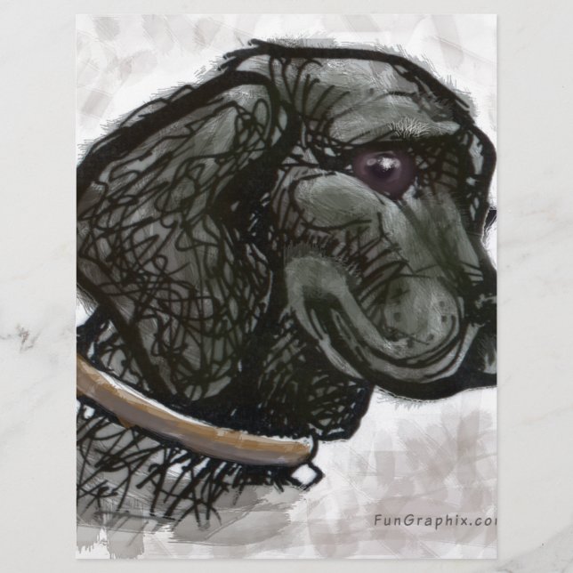 Labrador Retriever (Voorkant)