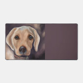 Labrador Retriever (Recto)