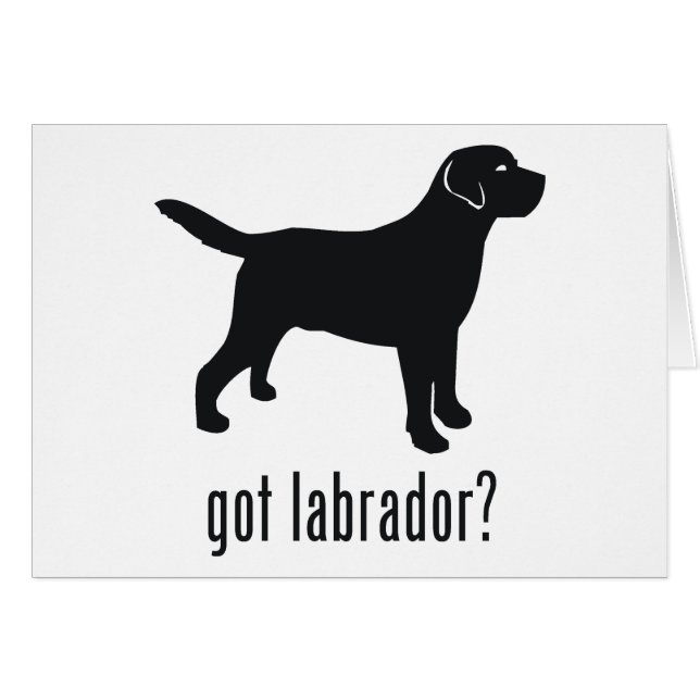 Labrador retriever (Devant horizontal)