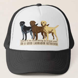 Labrador Retriever 3 kleuren Trucker Pet
