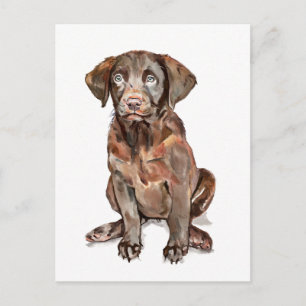 Labrador Retriever Ansichtkaart Briefkaart