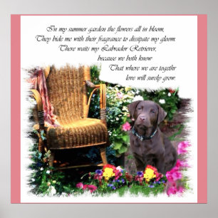 Labrador Retriever Art Gifts Poster