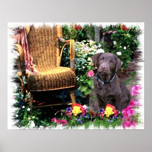 Labrador Retriever Art Print (Voorkant)