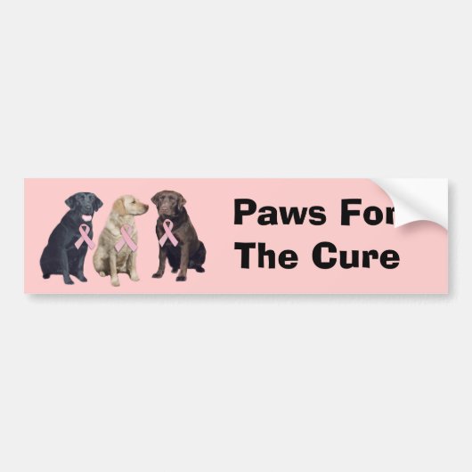 Labrador Retriever Breast Cancer Bumpersticker (Voorkant)