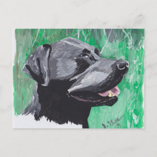 Labrador Retriever Briefkaart