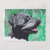Labrador Retriever Briefkaart (Voorkant)