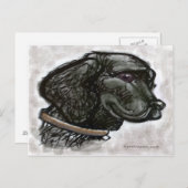 Labrador Retriever Briefkaart (Voorkant / Achterkant)