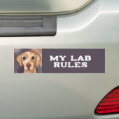 Labrador Retriever Bumpersticker (Op auto)