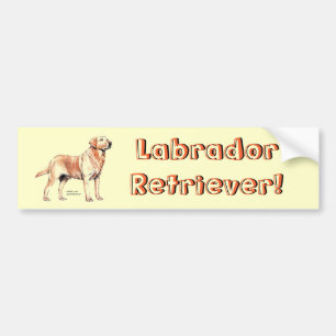 Labrador Retriever Bumpersticker