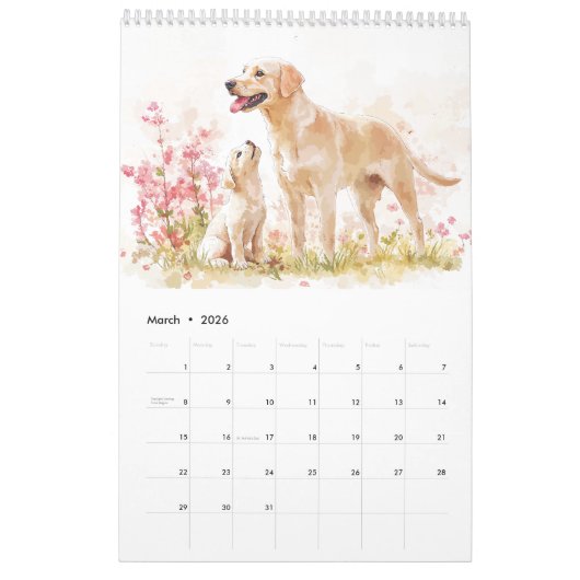 Labrador Retriever Calendrier parent et chiot (Mar 2026)