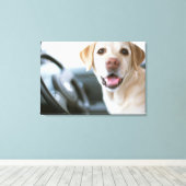 Labrador Retriever Canvas Afdruk (Insitu (Houten vloer))
