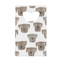 Labrador Retriever Chien