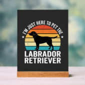 Labrador Retriever Chien Rétro Caressant (Neutre)