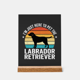 Labrador Retriever Chien Rétro Caressant